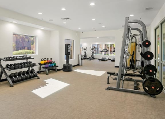 Desert Mirage Apartment Homes Fitness Center