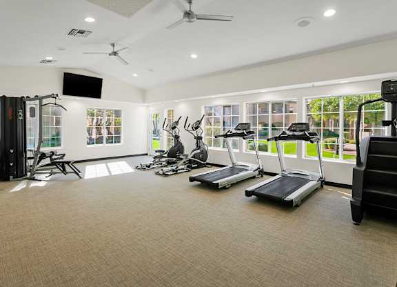 A spacious gym with treadmills, elliptical machines, and a television.