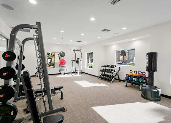 A gym with a variety of equipment including weights and cardio machines.