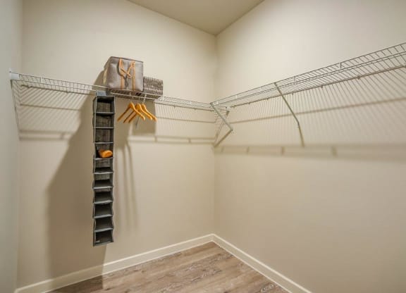 Discovery at The Realm in Lewisville, Texas Walk-In Closet
