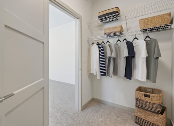 District South Apartments in Fishers, IN Walk-In Closet