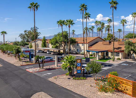 A sunny day at a residential area with palm trees and a clear blue sky.