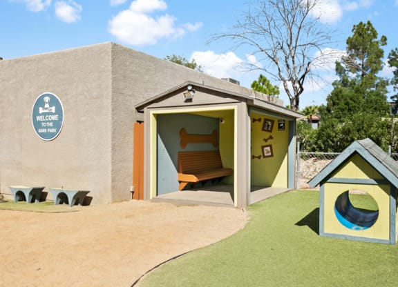 Domain 3201 Apartments Outdoor Dog Park