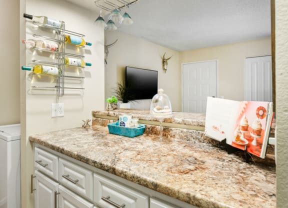 Domain 3201 Kitchen