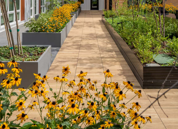 The Warren Apartments courtyard