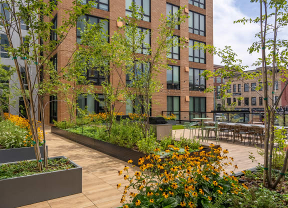 The Warren Apartments courtyard