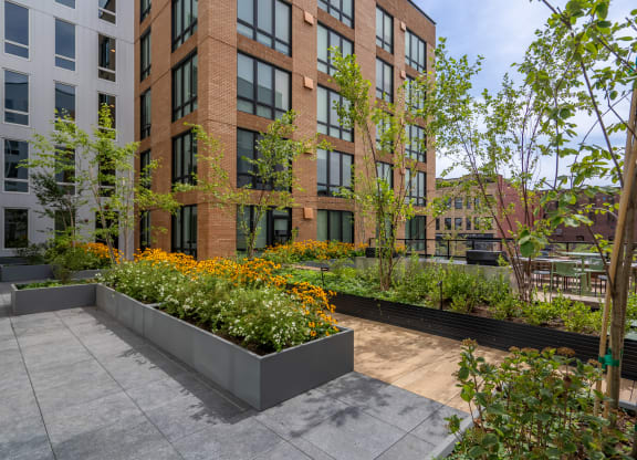 The Warren Apartments patio