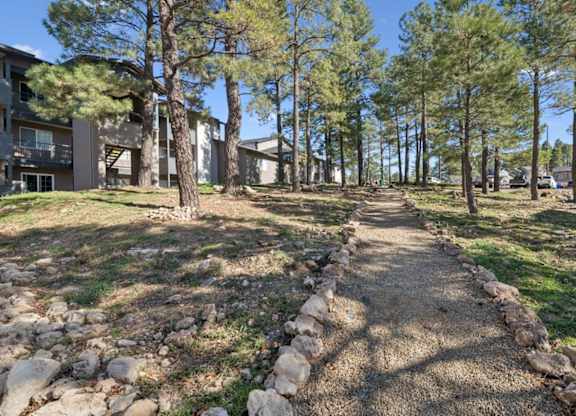 A pathway with rocks on the sides leads through a grassy area with trees.