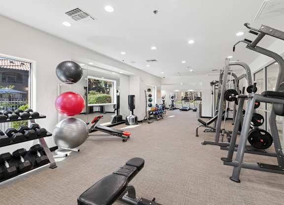 A gym with a variety of equipment including weights and cardio machines.