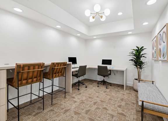 A room with a desk, chairs, and a plant.