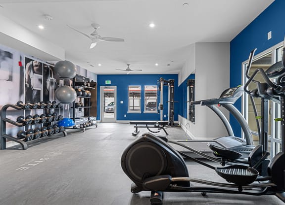 the apartments at masse corner 205 fitness room