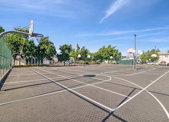 A basketball court with a net and hoop on the left side.