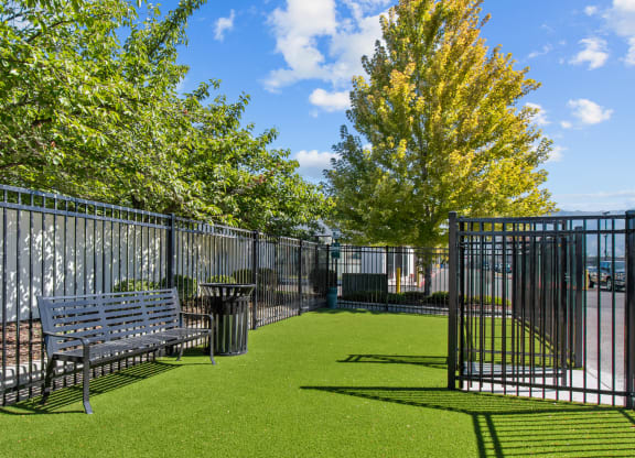 a grassy area with a bench and trees in the background