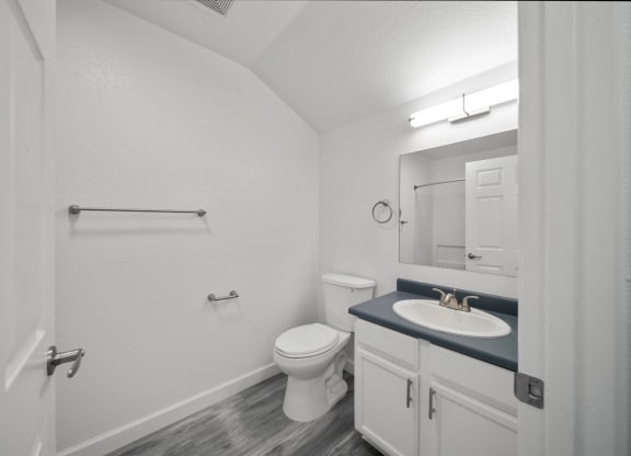 the preserve at ballantyne commons apartment bathroom