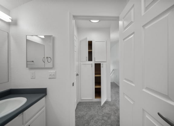 a bathroom with a sink and a mirror