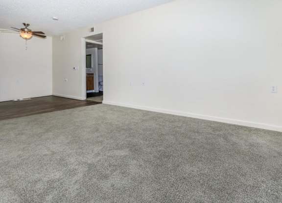 A room with a carpeted floor and a ceiling fan.