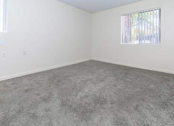 A room with a grey carpet and a window with blinds.
