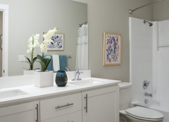 Evergreen Ridge_Richland WA_Apartment Master Bathroom