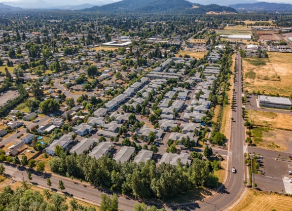an aerial view of a neighborhood with houses and trees
