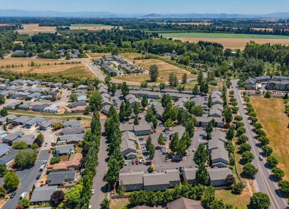 an aerial view of a neighborhood with houses and trees