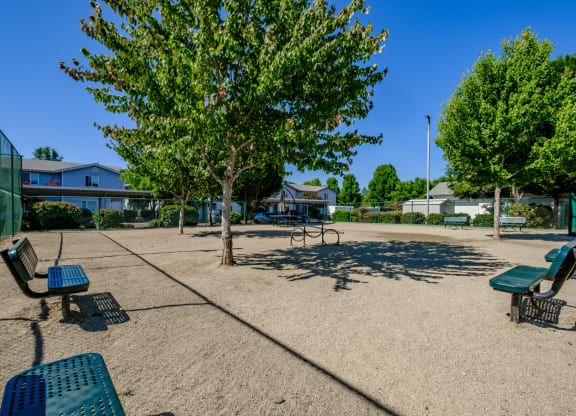 a large park with benches and trees