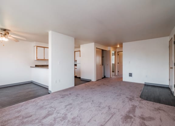 a living room with white walls and a pink carpet