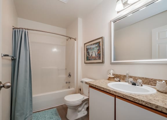 a bathroom with a shower toilet and sink
