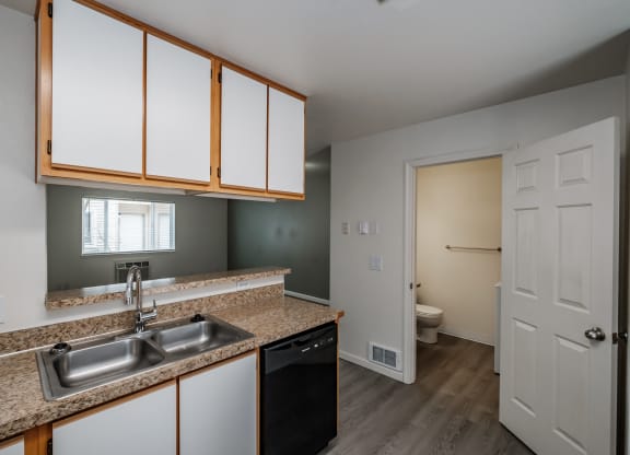 a kitchen with a sink and a dishwasher