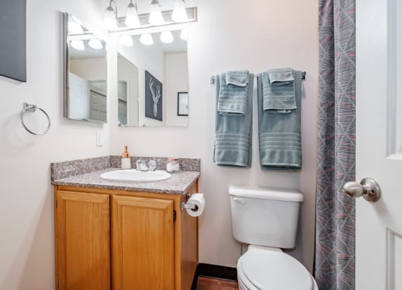 a bathroom with a toilet sink and mirror
