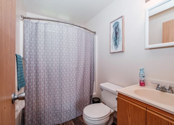 a bathroom with a toilet sink and shower
