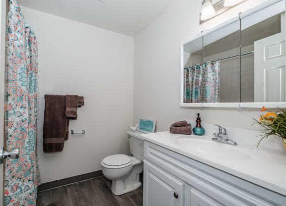 a bathroom with a white sink and toilet next to a shower with a curtain