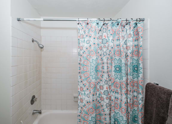 a bathroom with a shower and a bathtub