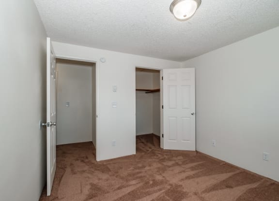 a bedroom with a carpeted floor and a closet with a door open