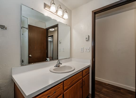 a bathroom with a sink and a mirror