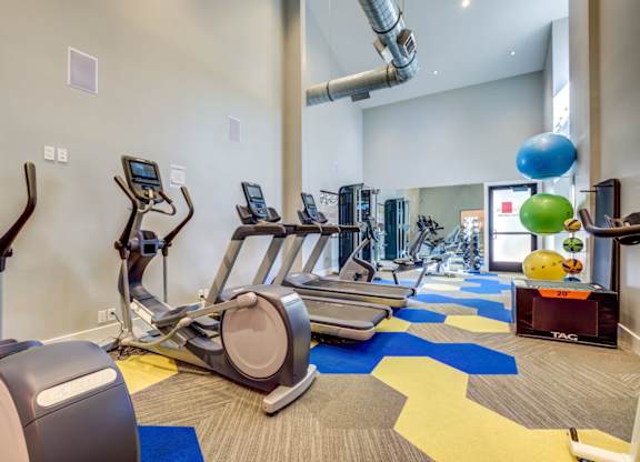 The Alexandar Apartments Fitness Center