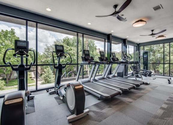 a row of treadmills and elliptical trainers in a fitness room with floor to ceiling
