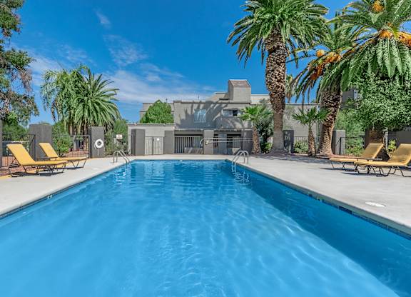 A swimming pool surrounded by palm trees and lounge chairs.