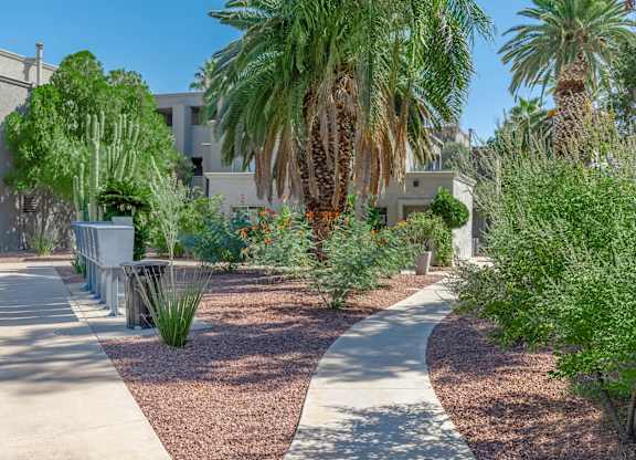A garden with a concrete path and a variety of plants and trees.