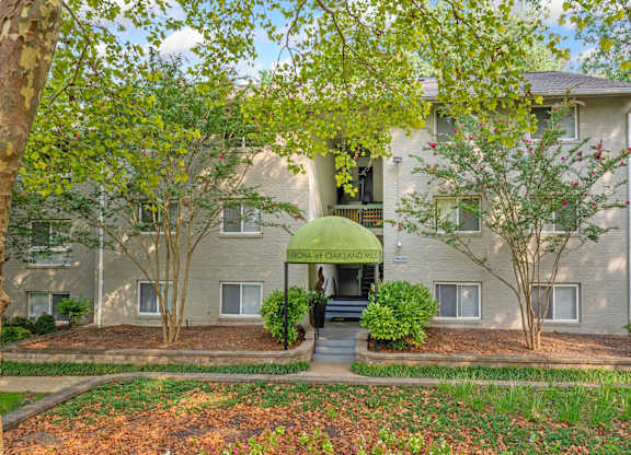 A building with a green awning and a tree in front of it.