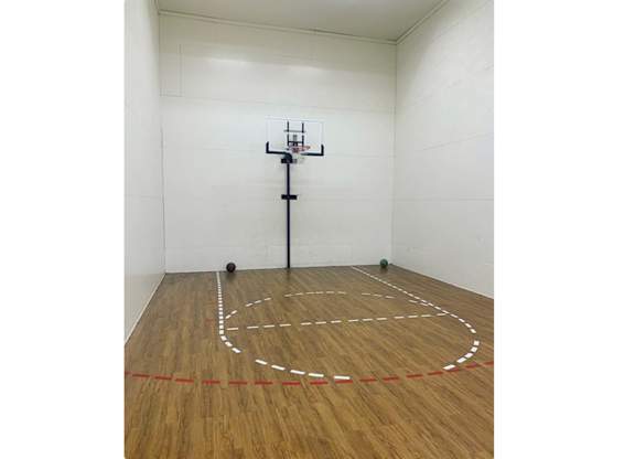 A basketball court with a hoop and a ball on the floor.