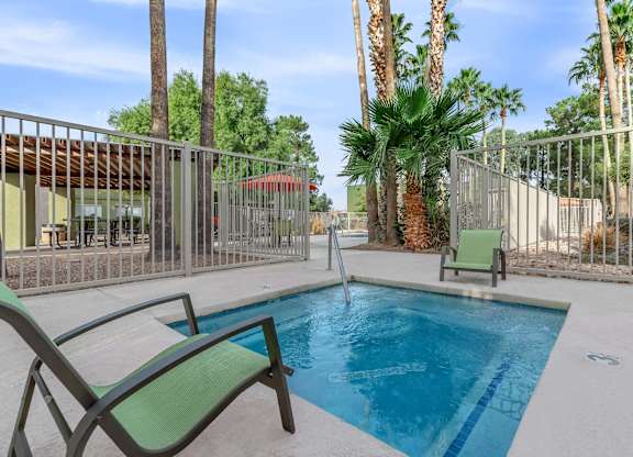 A pool surrounded by palm trees and a fence.