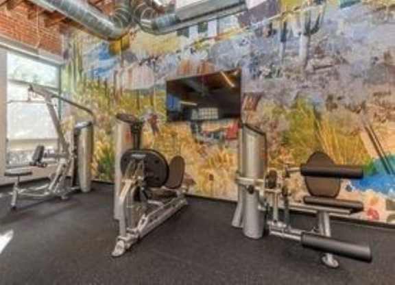 A gym with a variety of equipment including a treadmill, weights, and a bench press.