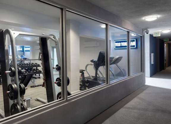 A gym with a row of treadmills and a row of weight machines.