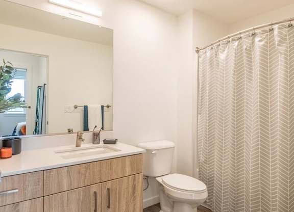 A bathroom with a white toilet, sink, and shower curtain.