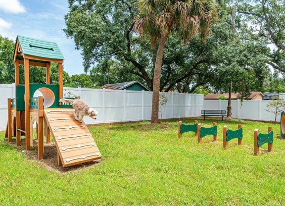 a cat playing on a wooden ramp in a backyard