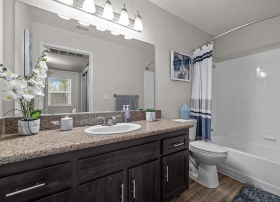 Hazel Ranch Apartments in Fair Oaks, California Model Bathroom
