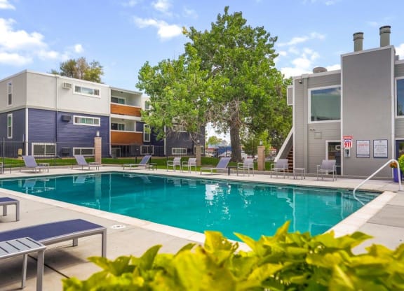 Hudson at Highline Apartments in Denver, Colorado Pool with Lounge Chairs