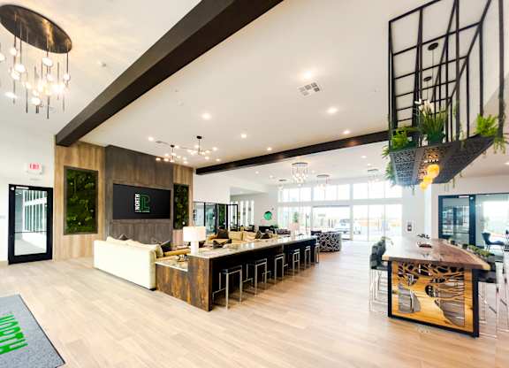 A modern office space with a reception desk and a green plant hanging from the ceiling.