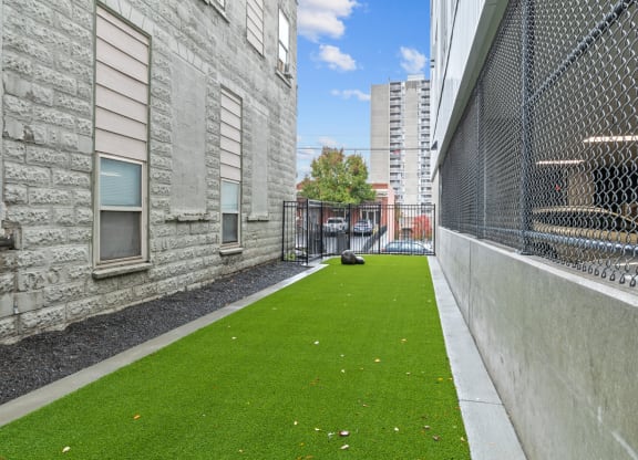 The Warren Apartments Outdoor Pet Lawn