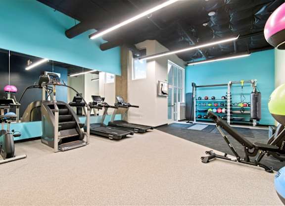 A gym with a variety of equipment including treadmills, stationary bikes, and weight machines.